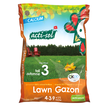 adverb Teenage years solidarity Lawn Fertilizer Step 3 (Fall) 4-3-9+Iron