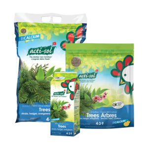 4-3-9-_-ANGLAIS