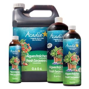 engrais-naturel-algues-fraiches