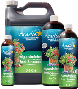 ACADIE_Algues-fraiches2024_GROUP_LR