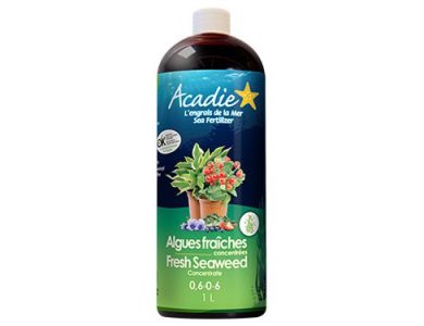 Acadie_1L-algues-fraiches-bouteille-transparente3-3000px