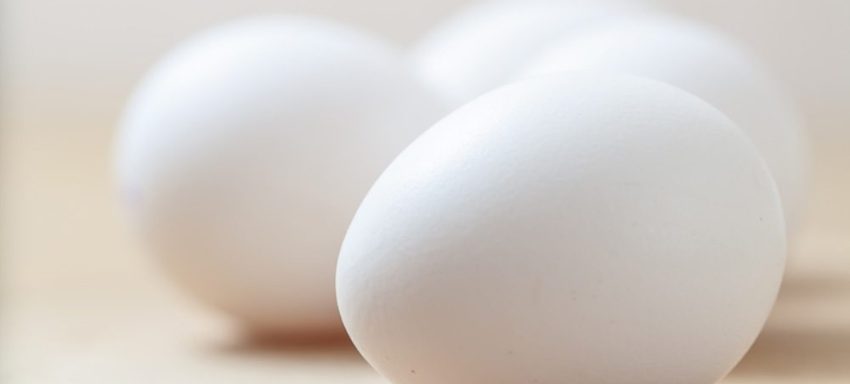 Avantage du calcium contenu dans le fumier de poule