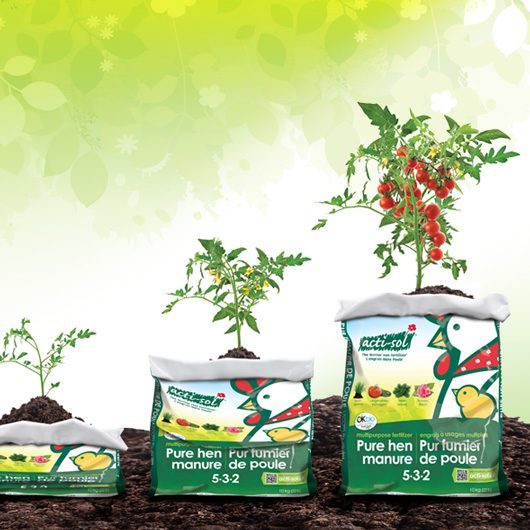 Astuce-Mere-poule-Acti-Sol-contenant-sac-engrais-532