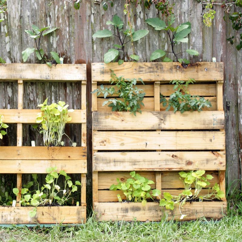 Astuce-Mere-poule-Acti-Sol-palettes-plantes-jardin-vertical-1