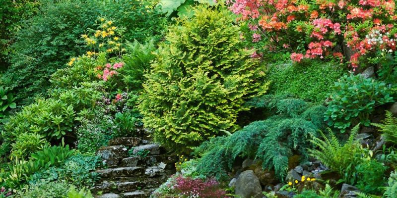 La tendance est aux cours entièrement aménagées