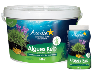 engrais-naturel-algues-granulees