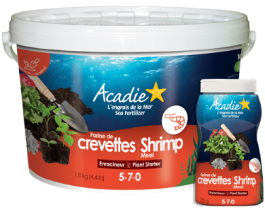 engrais-naturel-farine-crevettes