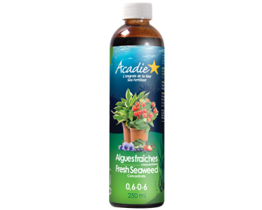 natural-fertilizer-fresh-seaweed-size-250ml