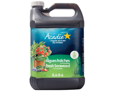 natural-fertilizer-fresh-seaweed-size-4L