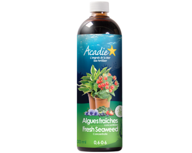 natural-fertilizer-fresh-seaweed-size-500ml